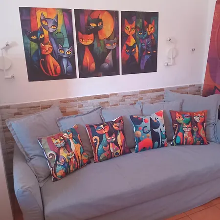 Casita De Gatas Olia